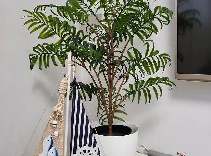 Daire Playa Jardin Boiro